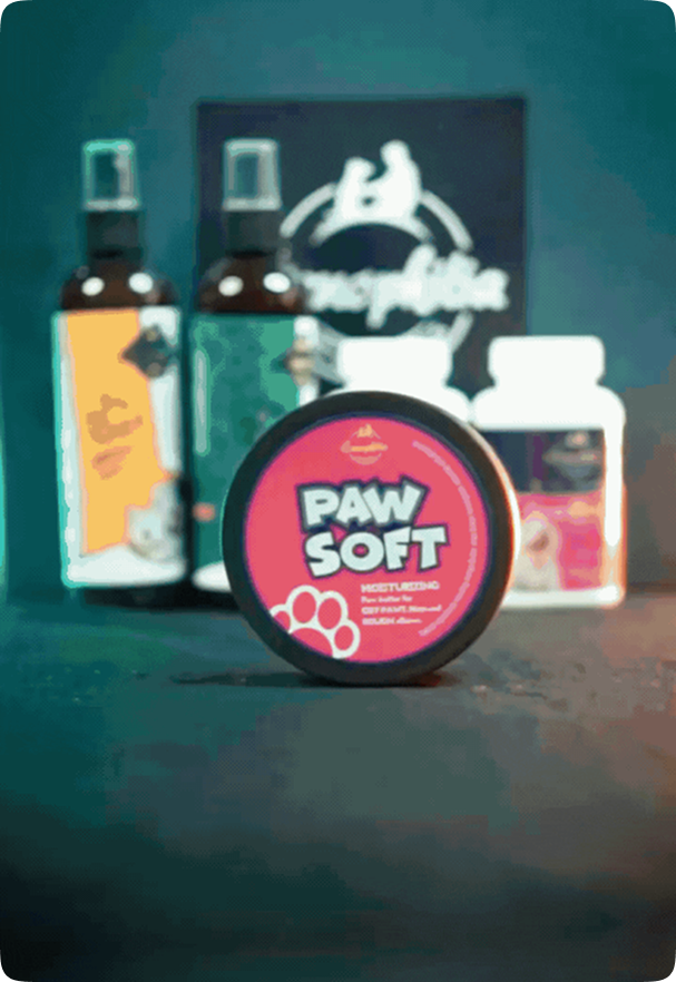 Featured Collection