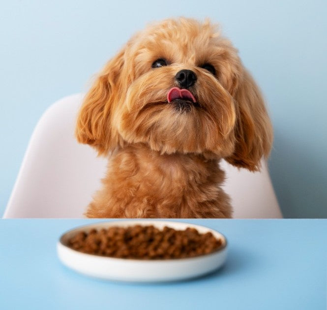 Pet Food