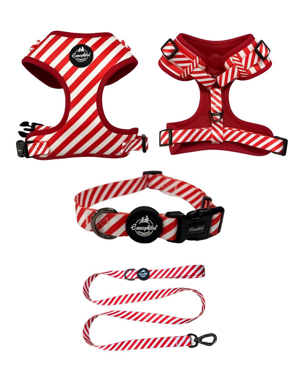 Dog Harness Leash Set