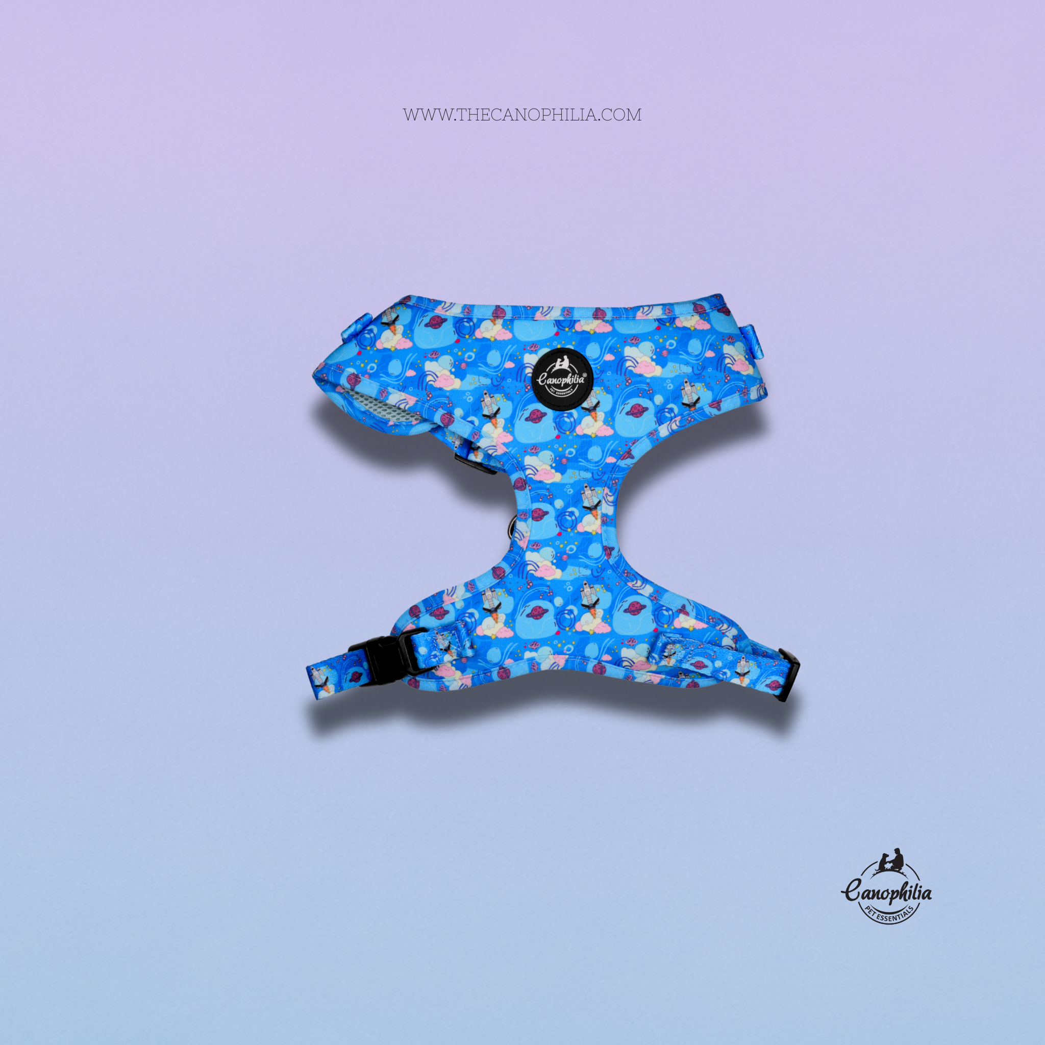 Body Harness