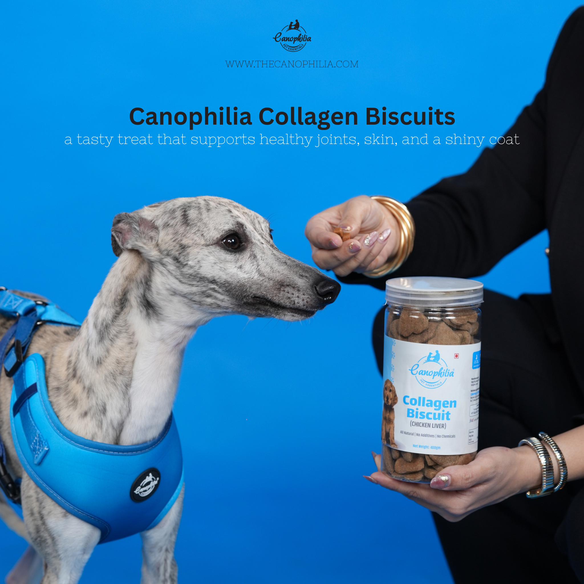 Collagen Biscuits