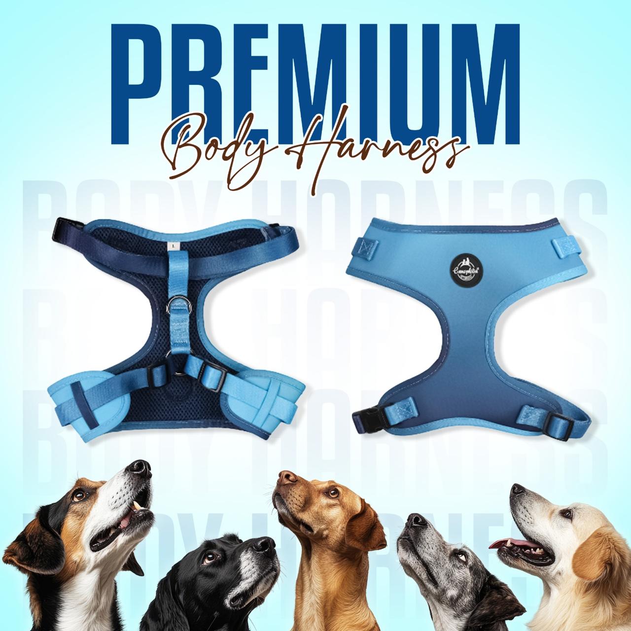 Canophilia Premium Body Harness: Smart Design for Everyday Walks