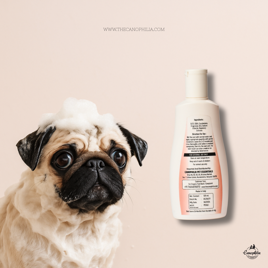 Pug awesome shampoo