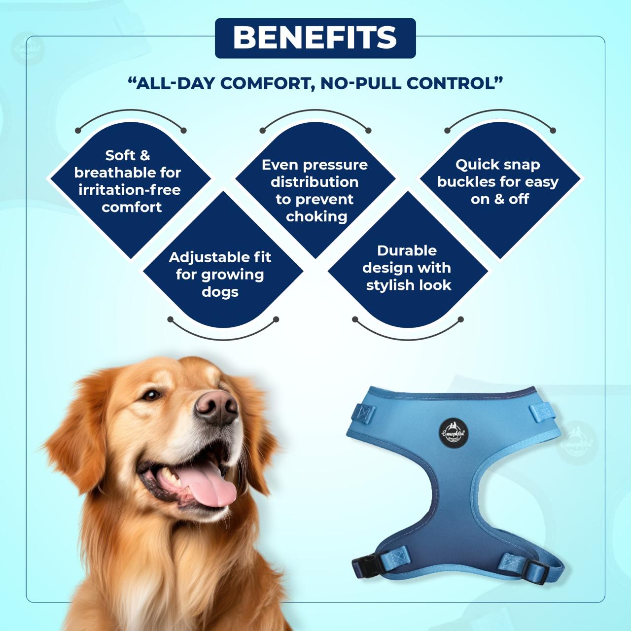 Canophilia Premium Body Harness: Smart Design for Everyday Walks