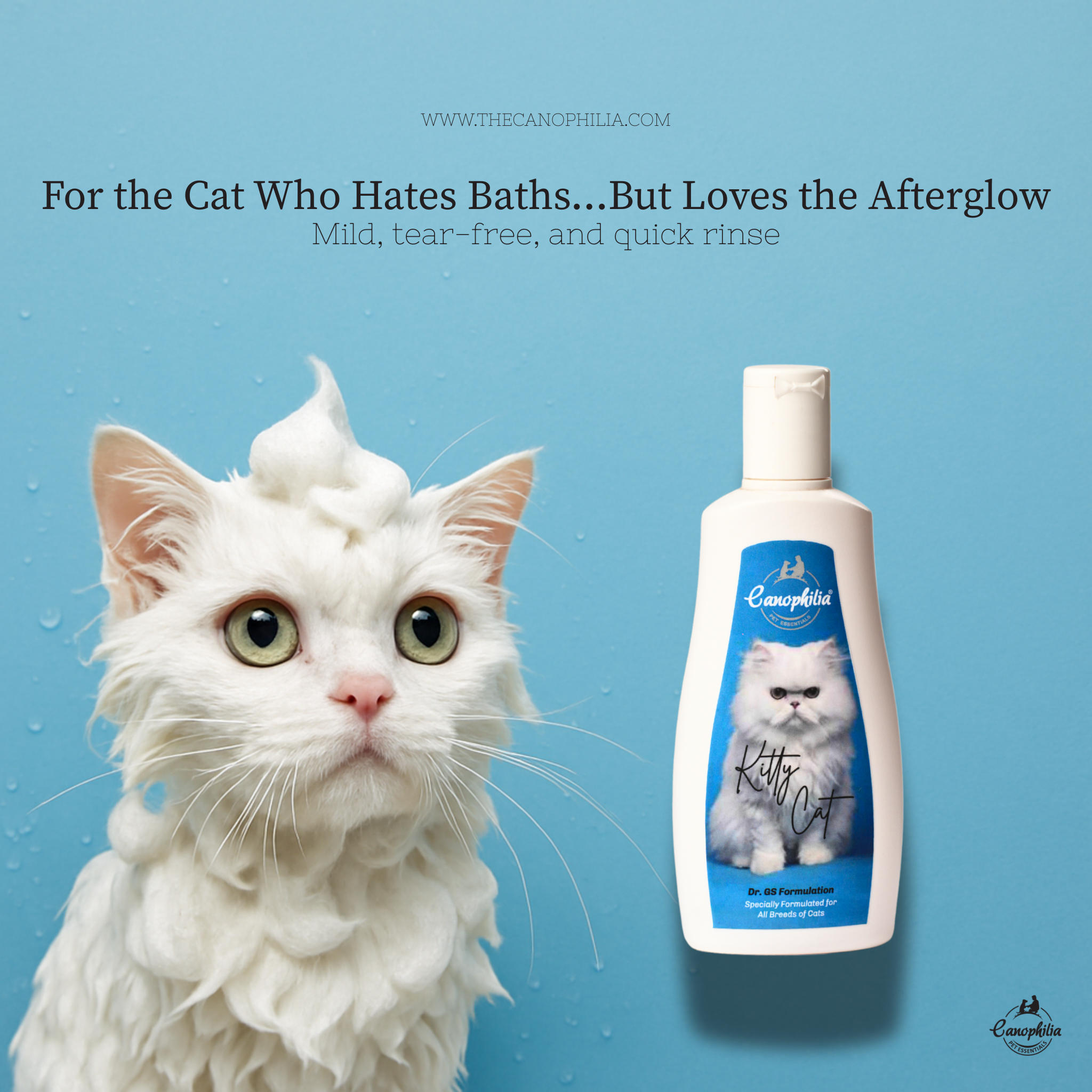 Kitty cat shampoo