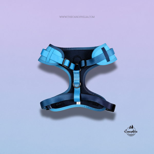 Mesh Harness