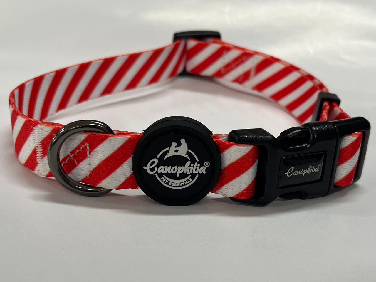 Dog Harness Leash Set