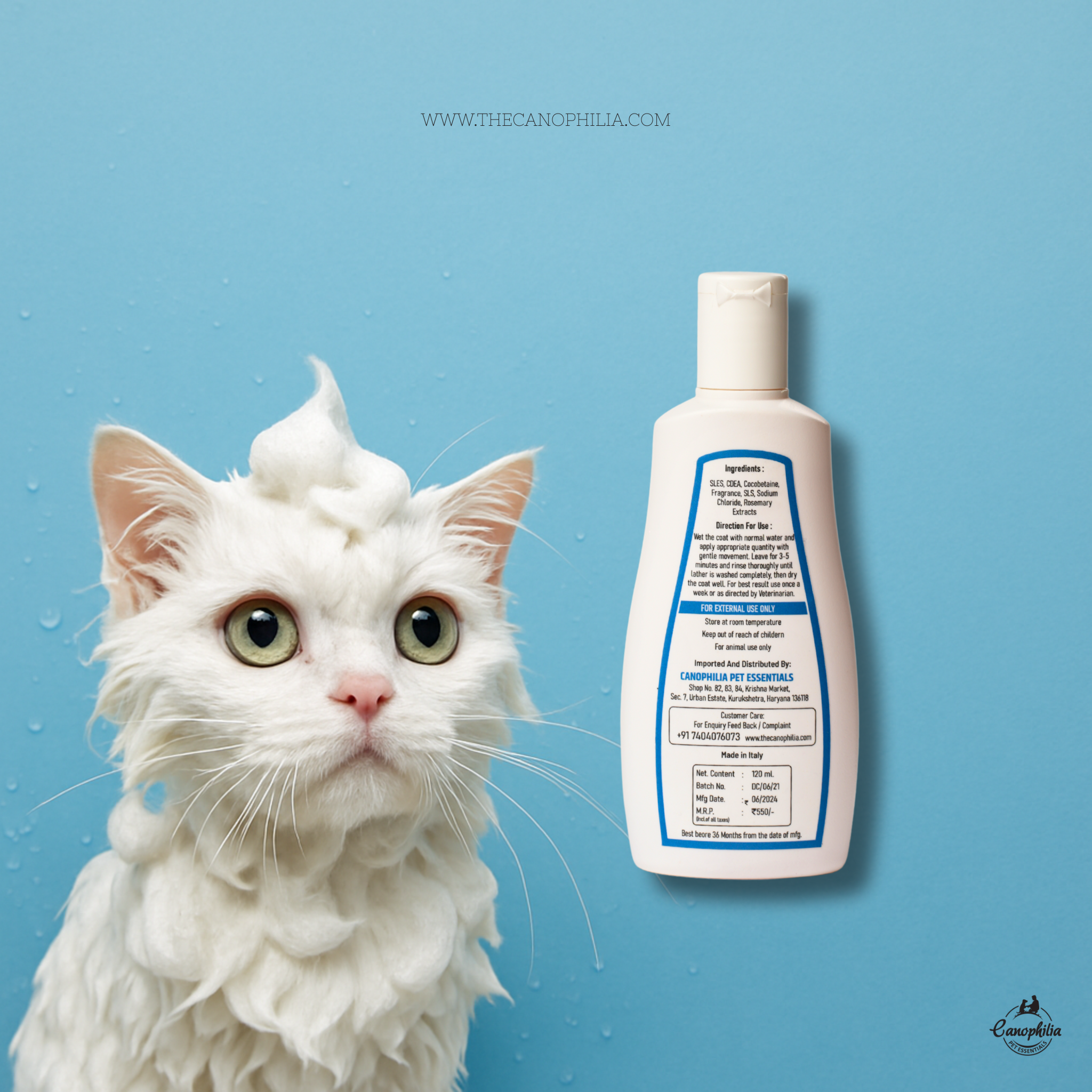 Kitty cat shampoo
