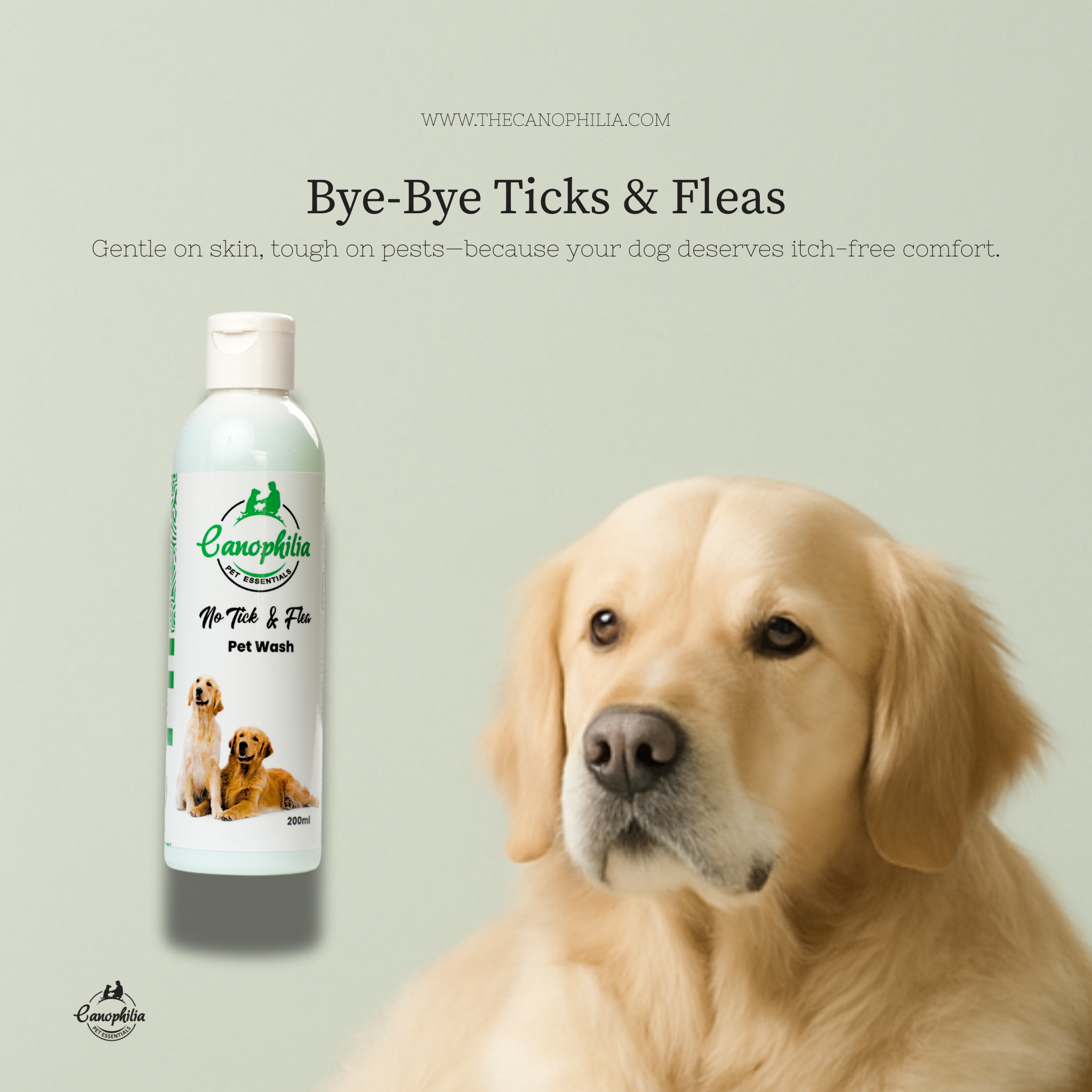 No Tick & Flea shampoo