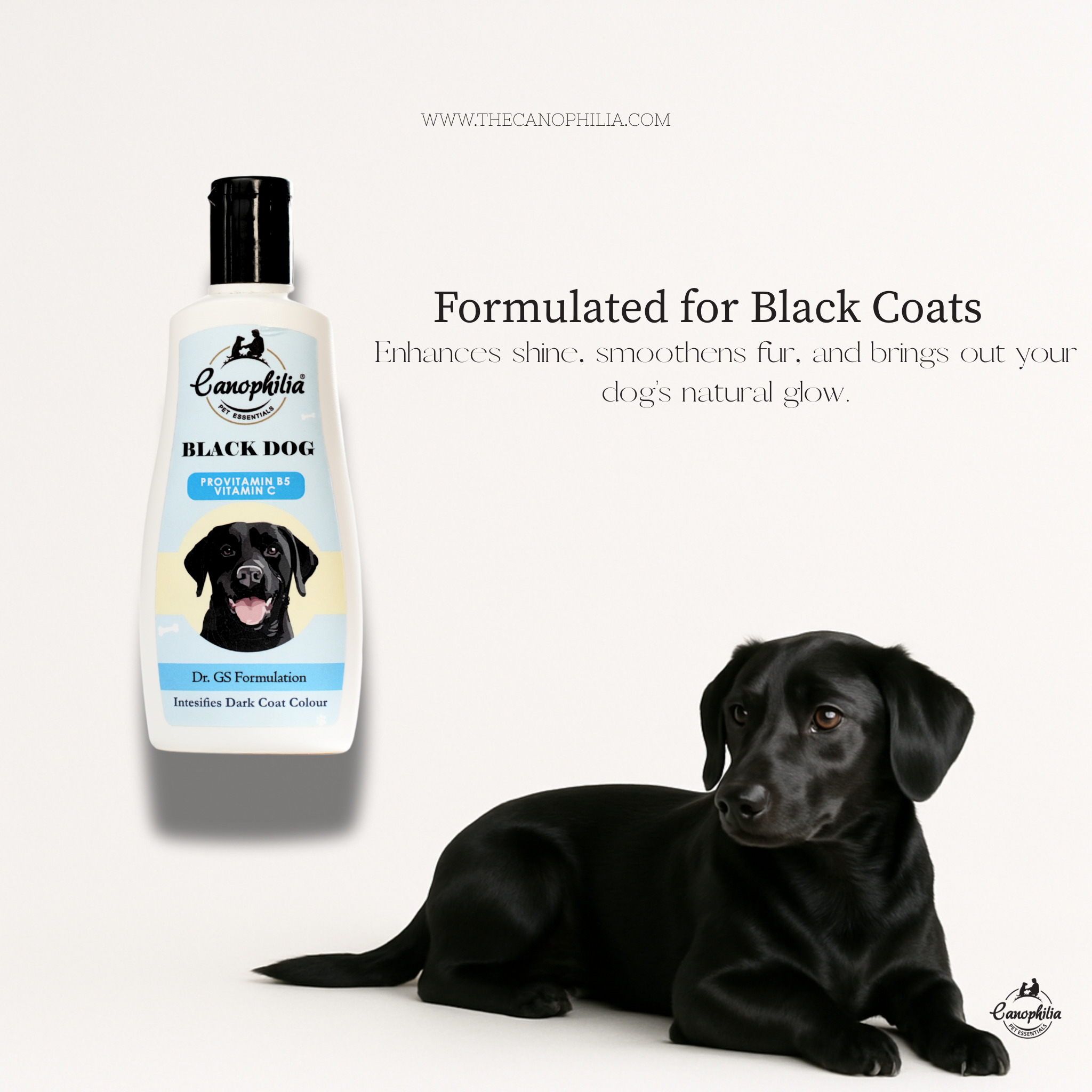 Black Dog Shampoo