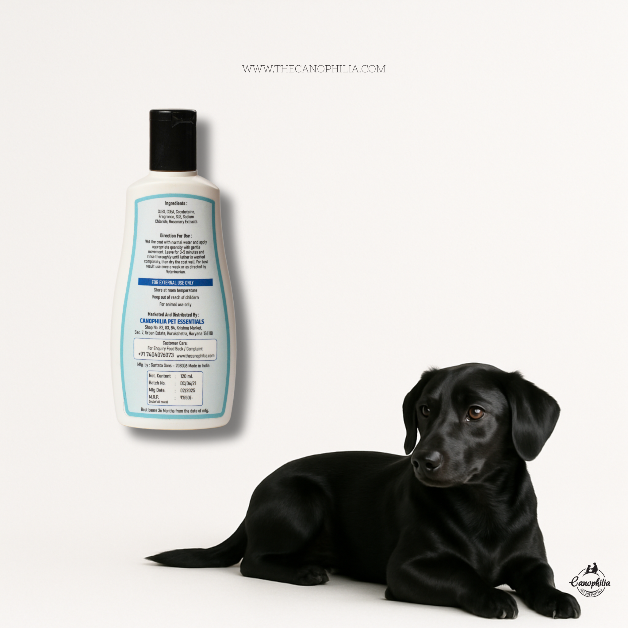 Black Dog Shampoo