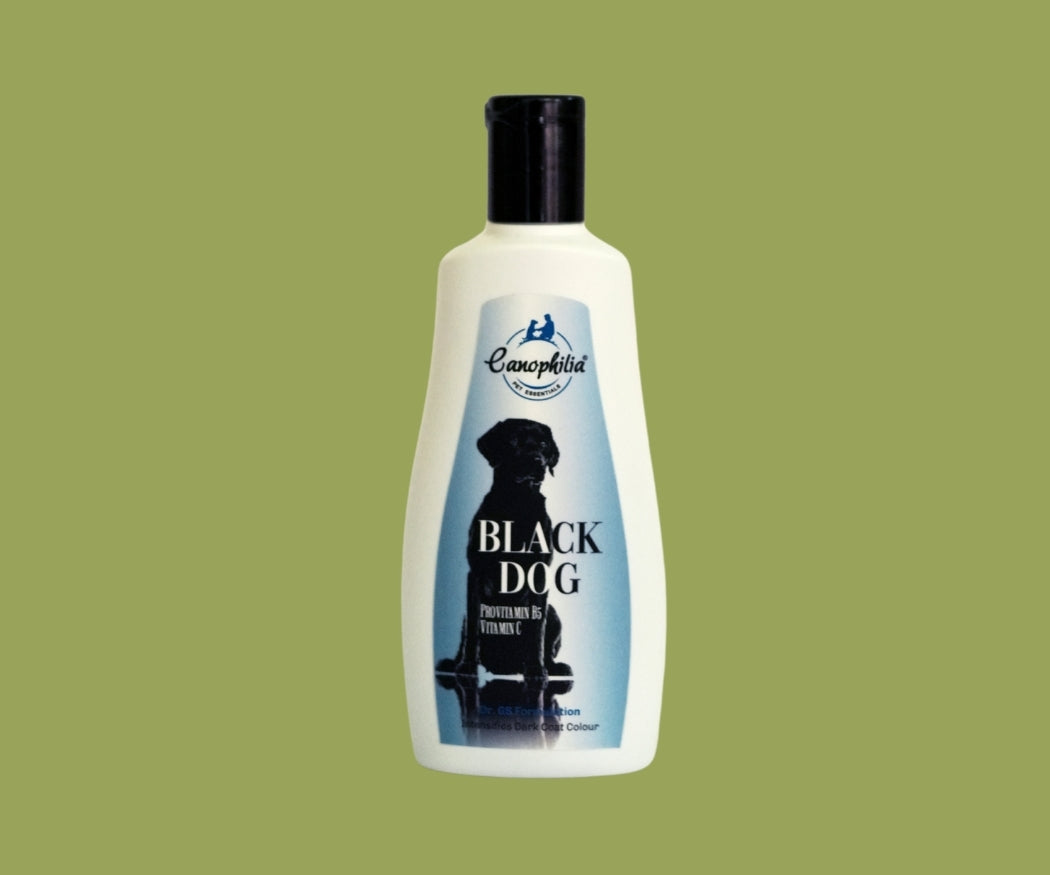 Black Dog Shampoo