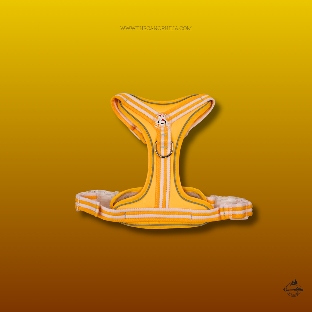 Body harness Comfortable Yellow