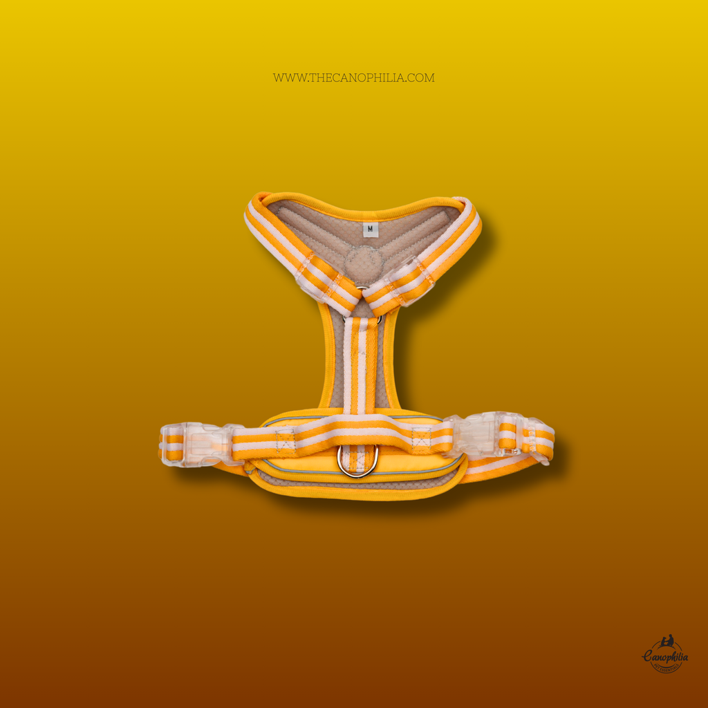 Body harness Comfortable Yellow