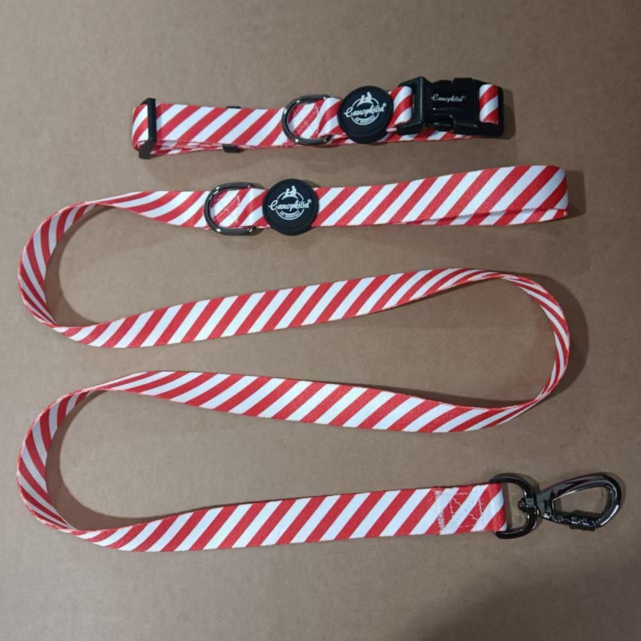 Dog Harness Leash Set