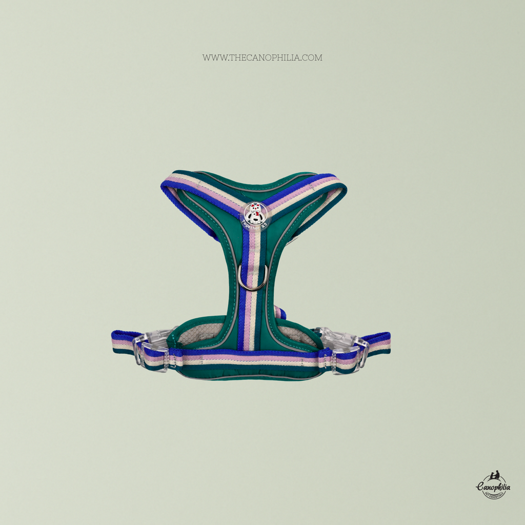 Body Harness Green