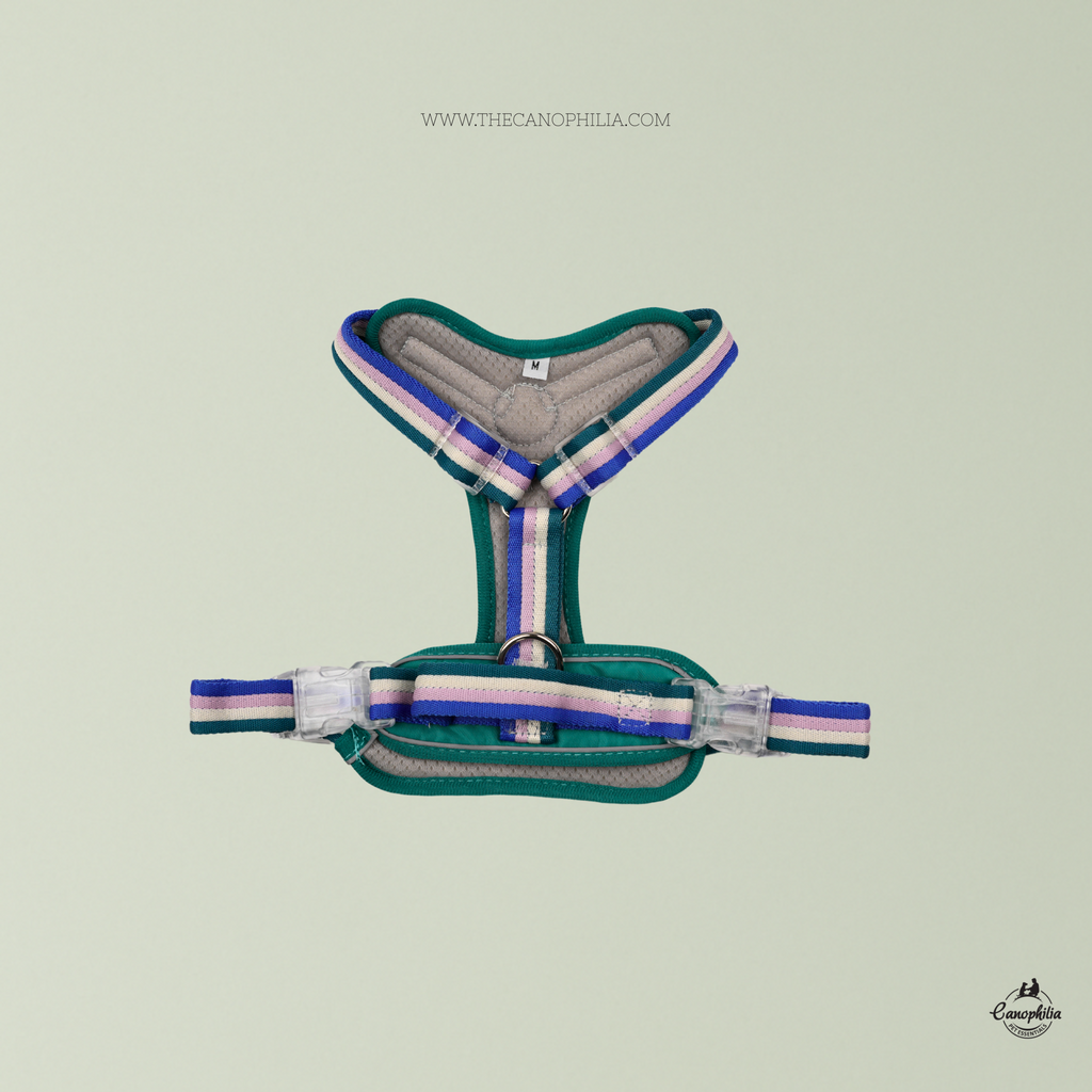Body Harness Green