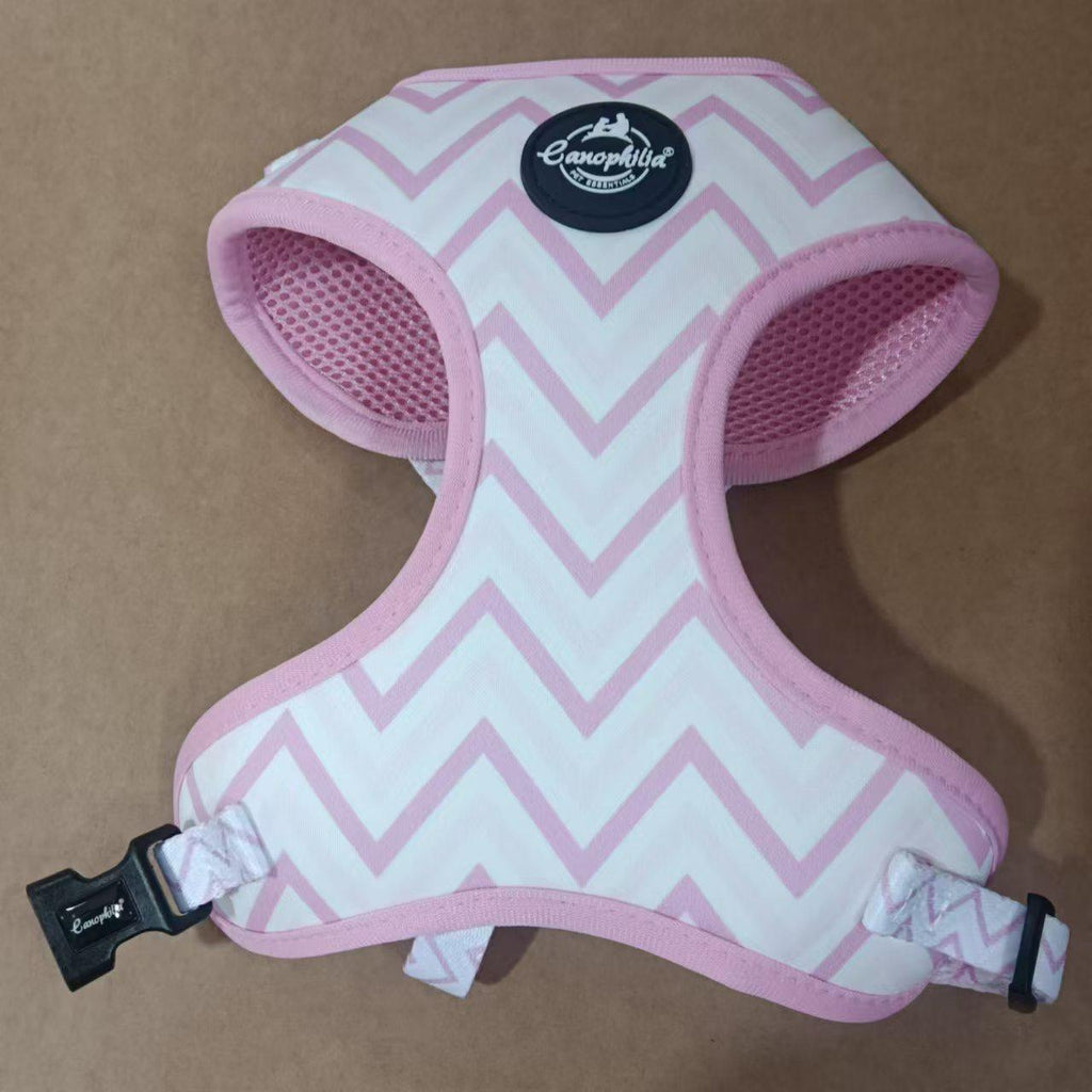 Dog Harness Leash Set
