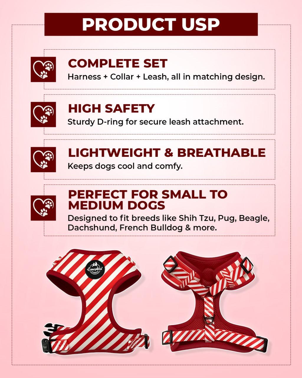 Dog Harness Leash Set