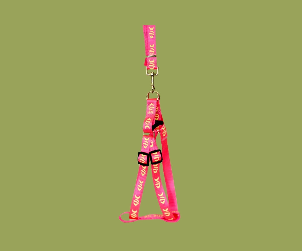 Dog's Harness