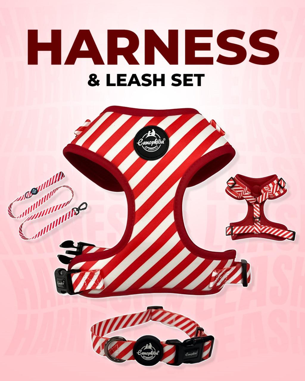 Dog Harness Leash Set
