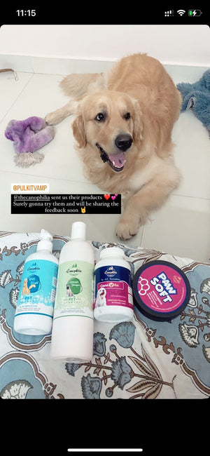 Pet gallery image