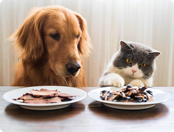 Custom Diet & Grooming