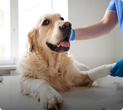 Fracture Rehabilitation