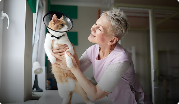 Arthritis Care Plans