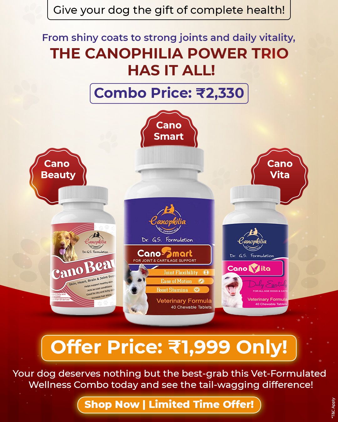 The Canophilia Power Trio Combo Offer
