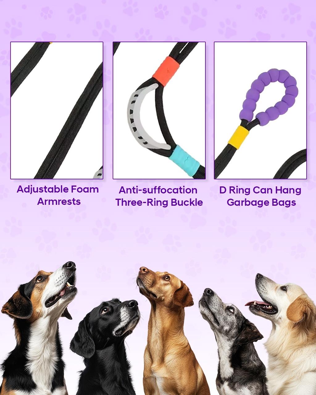 Canophilia Handsfree Leash