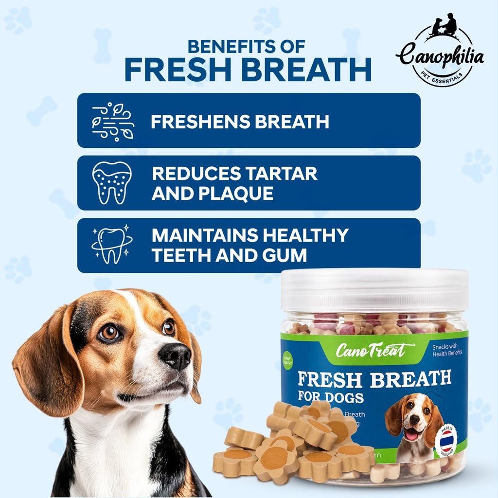 CanoTreat Fresh Breath Dog Treats