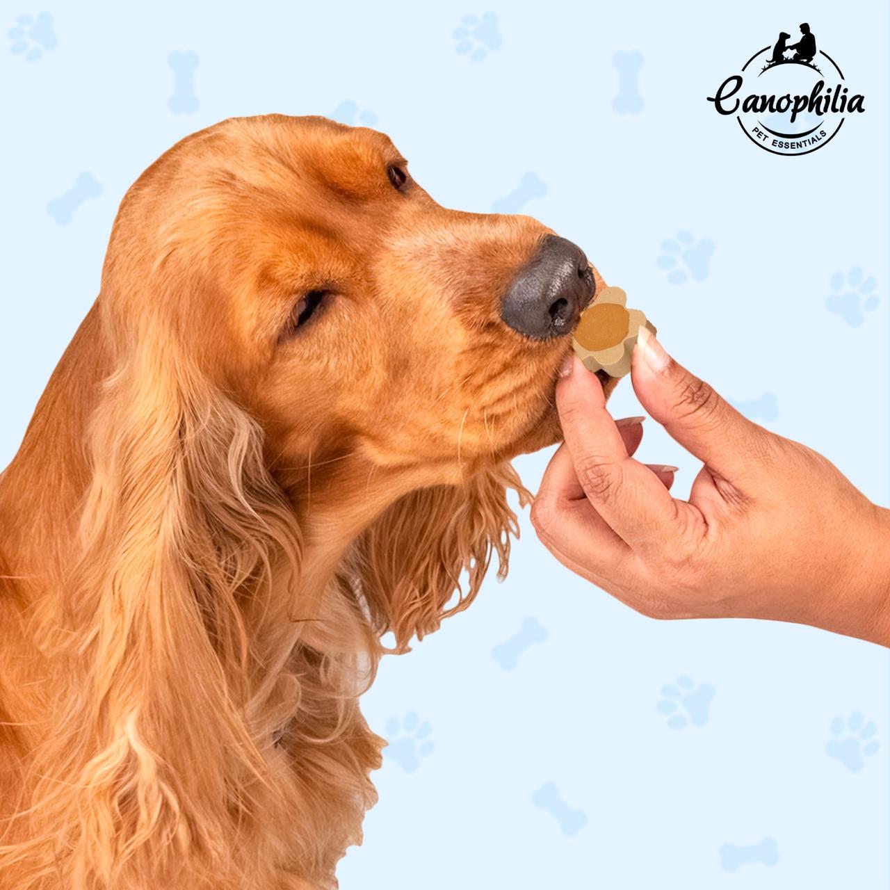 CanoTreat Fresh Breath Dog Treats
