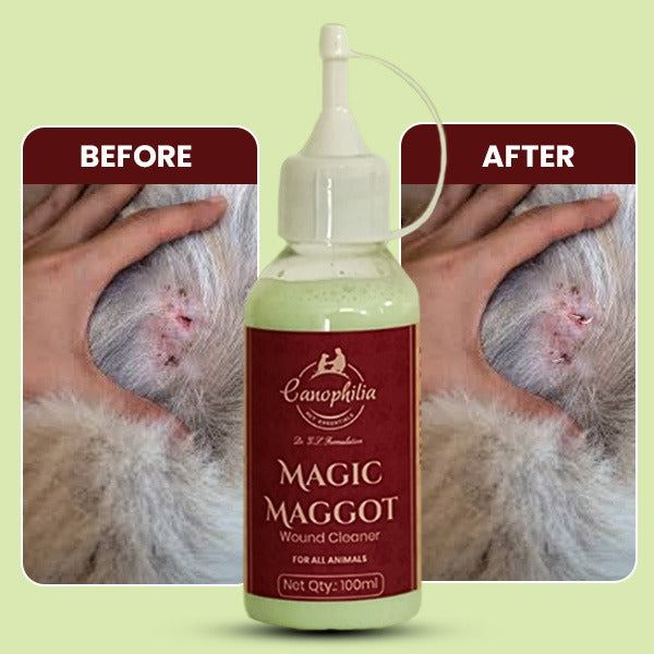 Ayurvedic Maggot Remover with Neem & Tulsi