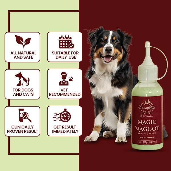 Ayurvedic Maggot Remover with Neem & Tulsi