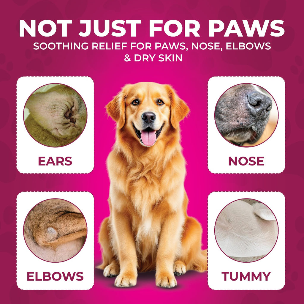 Canophilia Paw Soft Moisturizing Balm for Dogs+ FREE GIFT