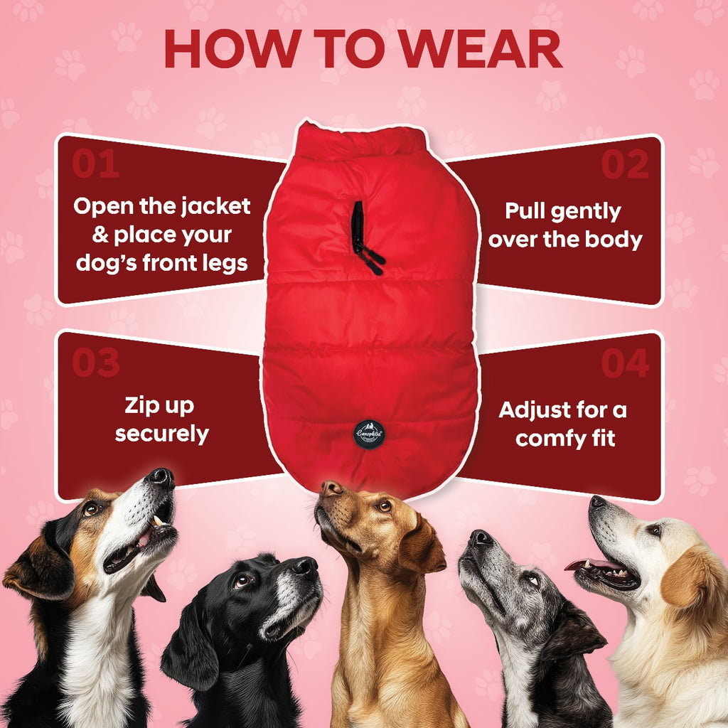 Dog Winter Jacket