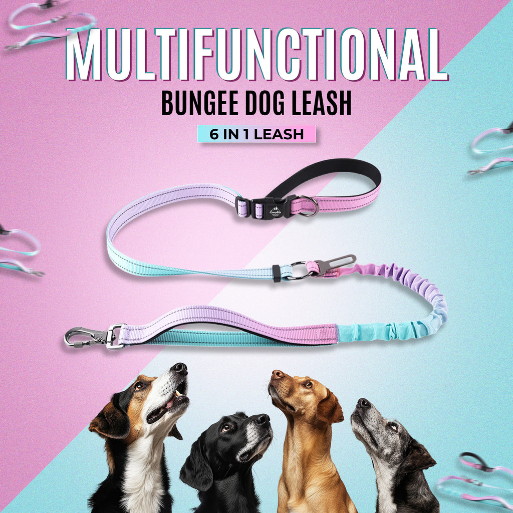 Multifunctional Bungee Dog Leash