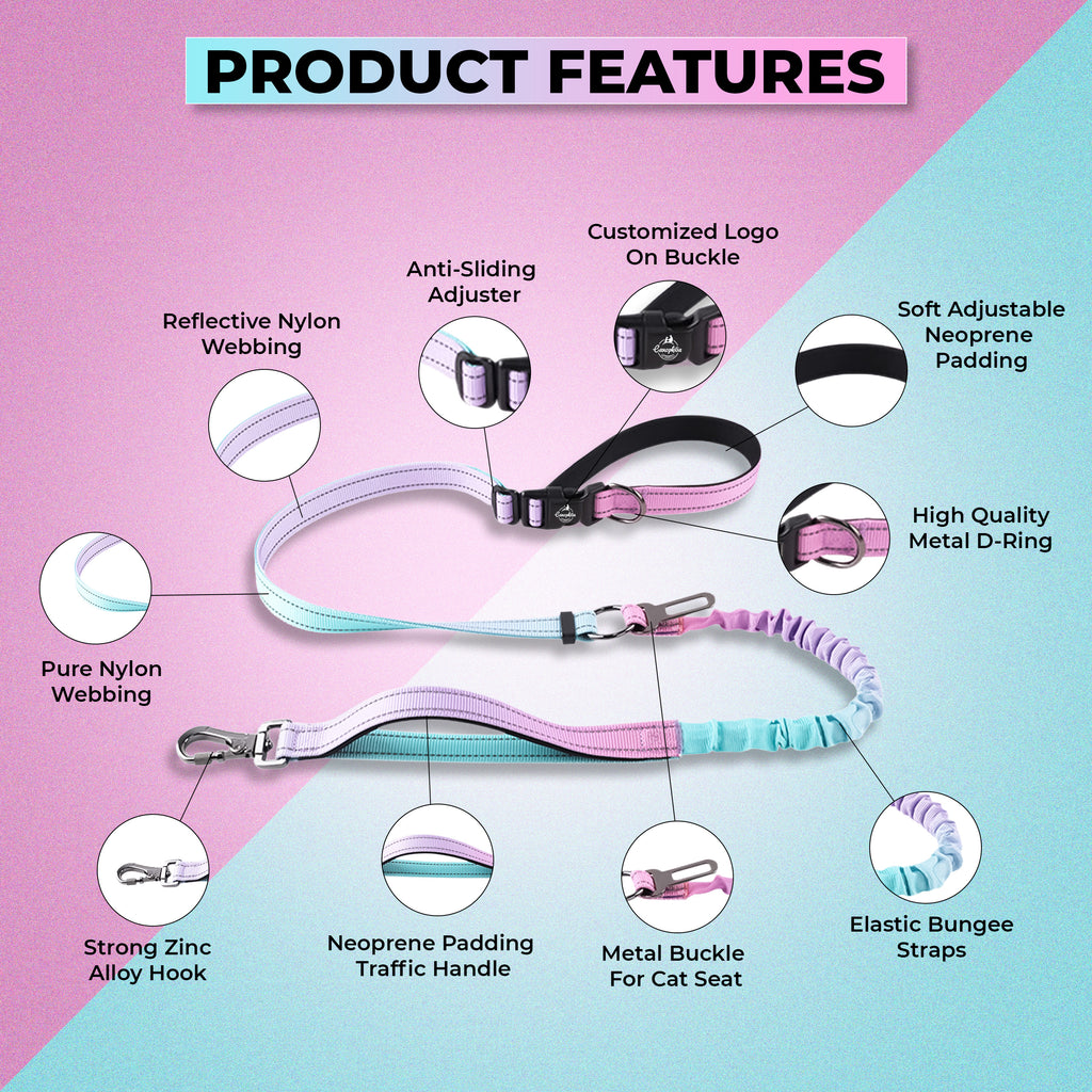 Multifunctional Bungee Dog Leash
