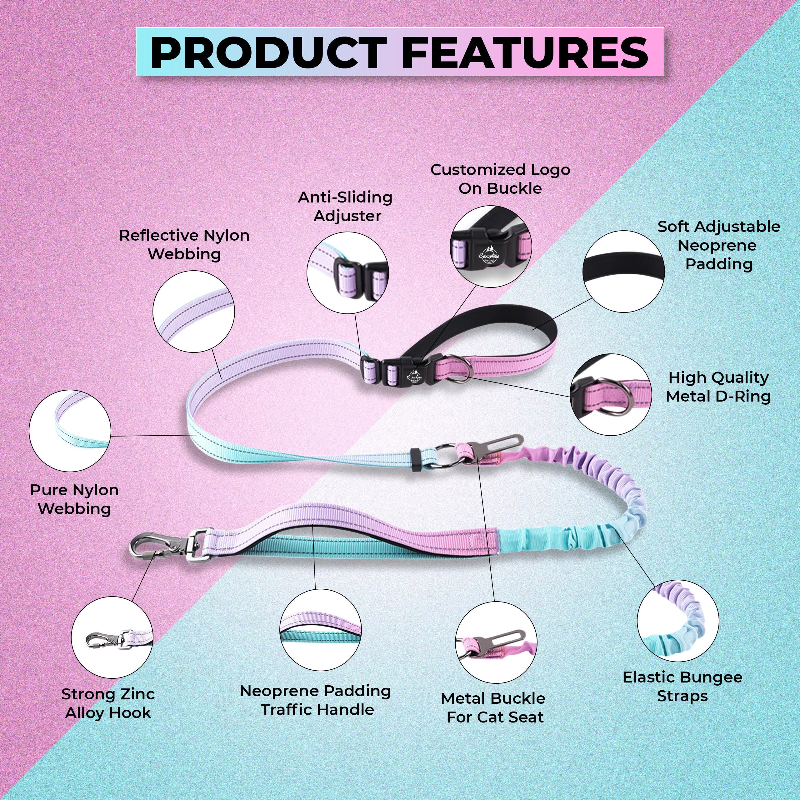 Multifunctional Bungee Dog Leash