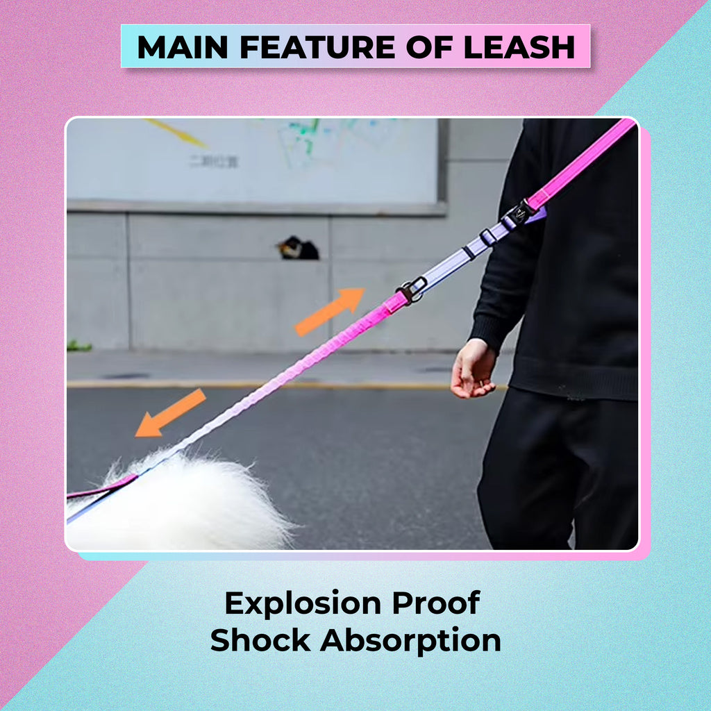 Multifunctional Bungee Dog Leash