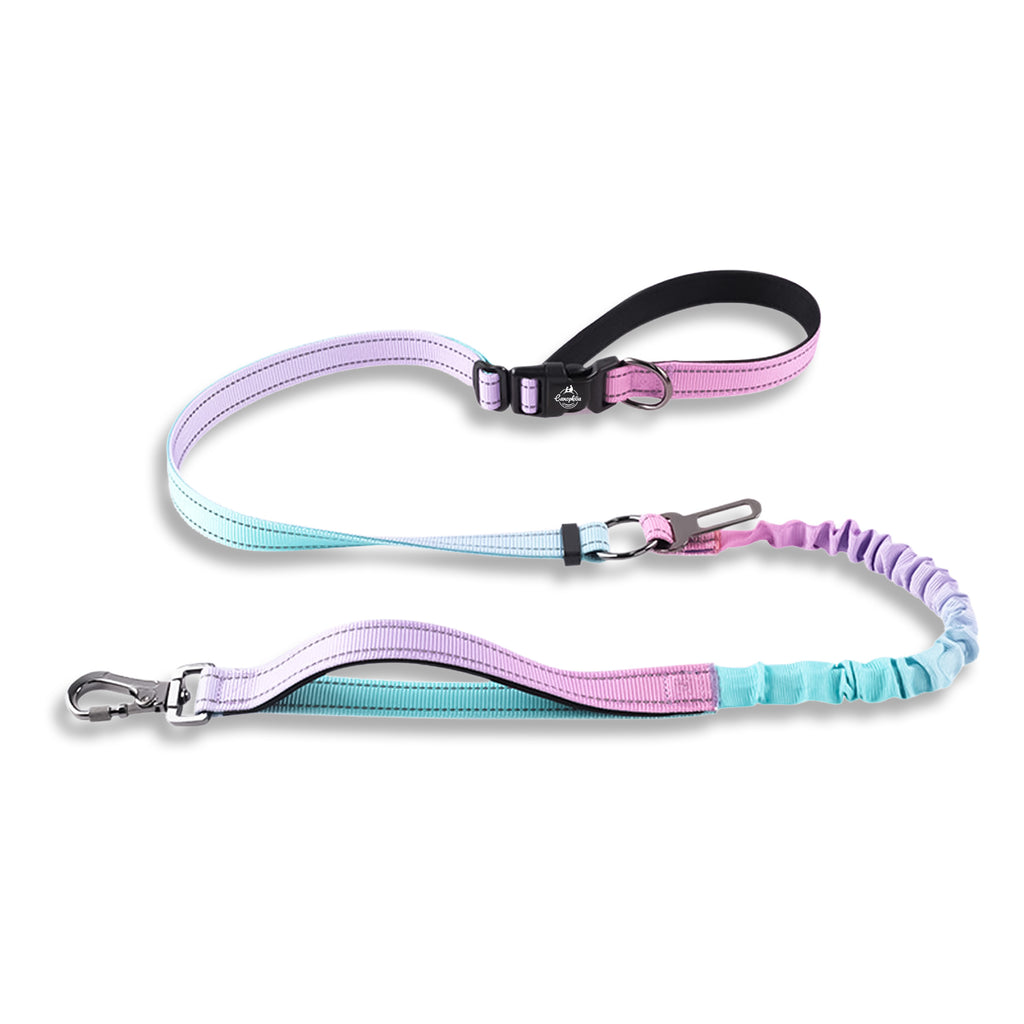 Multifunctional Bungee Dog Leash